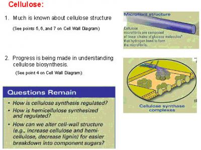 Cellulose