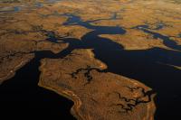 Study Emphasizes Importance of Conserving Coastal Ecosystems