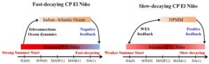 The two lives of a Central Pacific El Niño: Strong events trigger rapid demise via distant oceans, while weaker ones partner with the North Pacific Meridional Mode to persist into the next year.