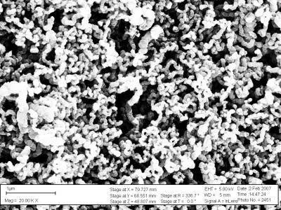 SEM Image