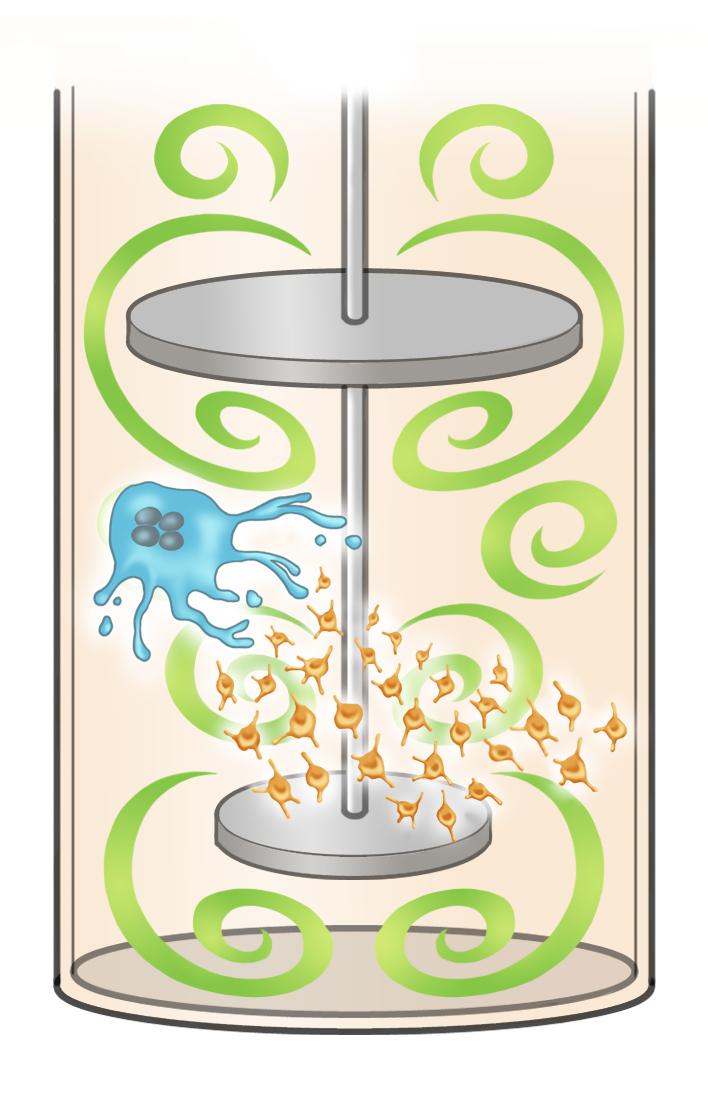 Turbulence Induces Platelet Generation