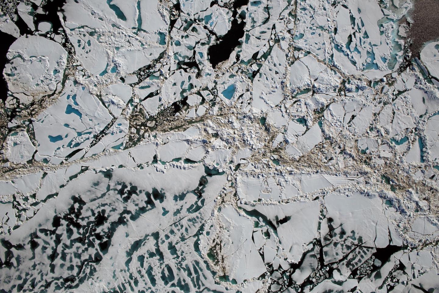Sea Ice