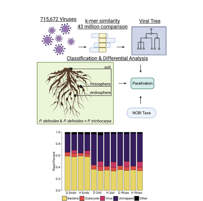 A New Approach Produces a 90-Fold Increase in Known Viral Taxa