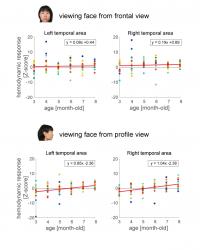 Hemodynamic Response
