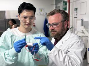 Researchers zap stem cells to steer growth