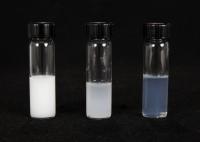 Microemulsion Vaccine Carrier (2 of 2)