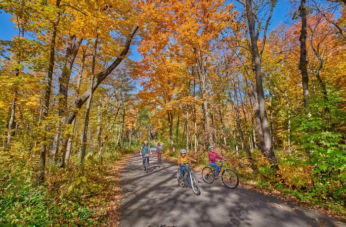 Fall color at The Morton Arboretum