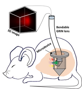 Drug screening device