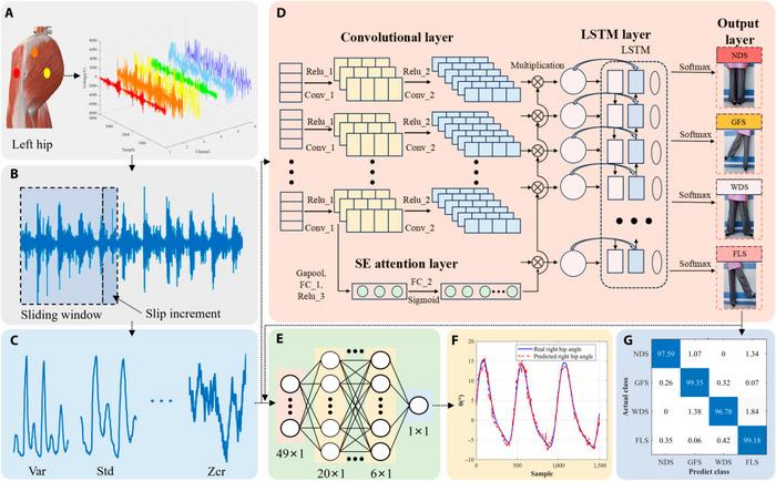 The whole process of data acquisition, preprocessing, feature extraction, model recognition, and prediction.