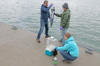 Researchers Sampling from Dock