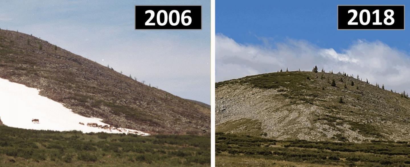 Melting Mongolian Ice Patches May Threaten Reindeer Pastoralism, Archeological Artefacts