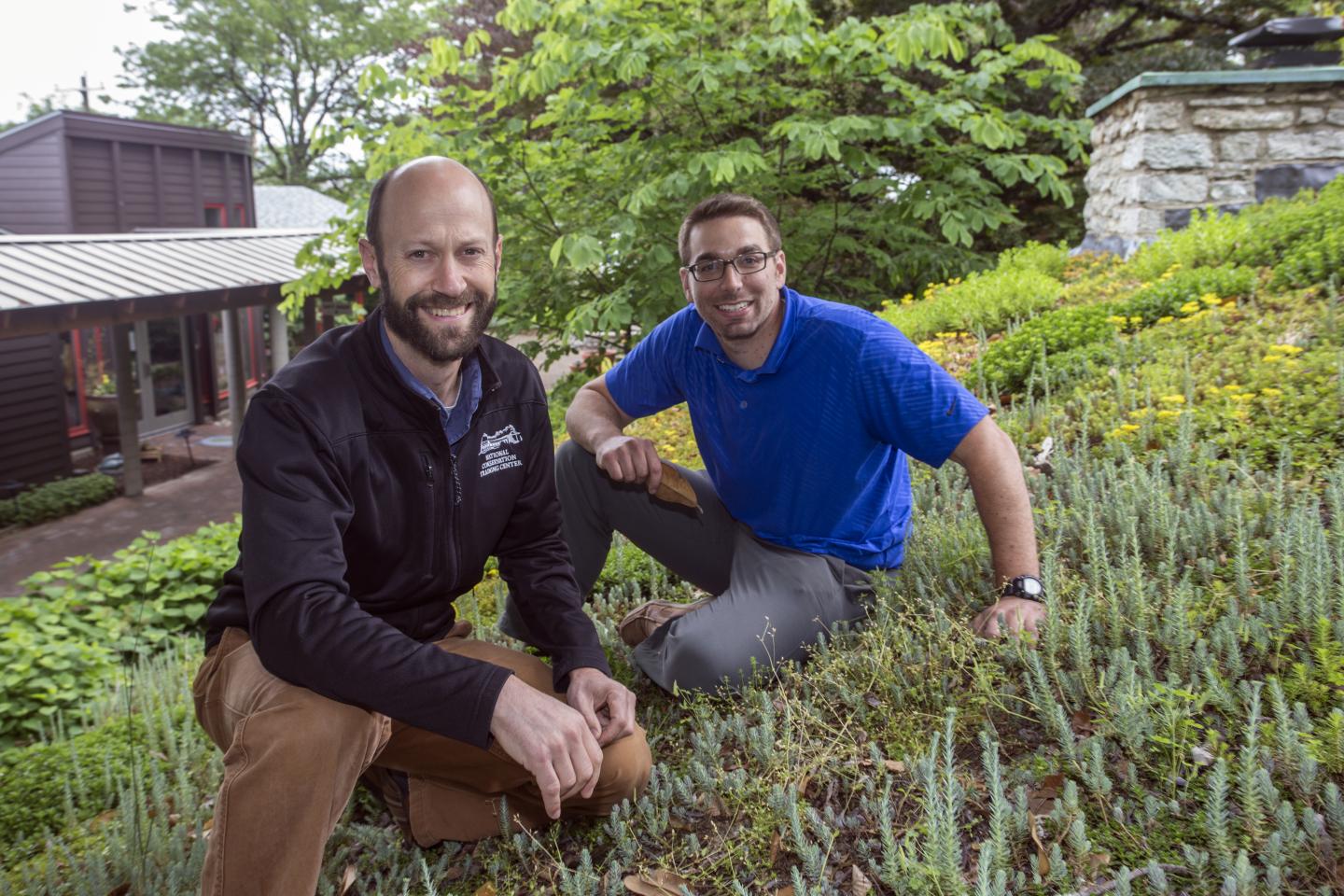 Green Roof Research