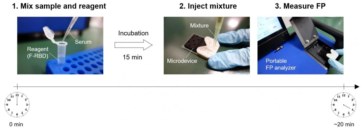 The fluorescence polarization immunoassay developed to detect and quantify antibodies against SARS-CoV-2