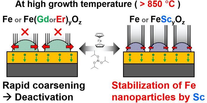 Iron–Scandium Catalyst Enables Longer Growth of Carbon Nanotube Forests