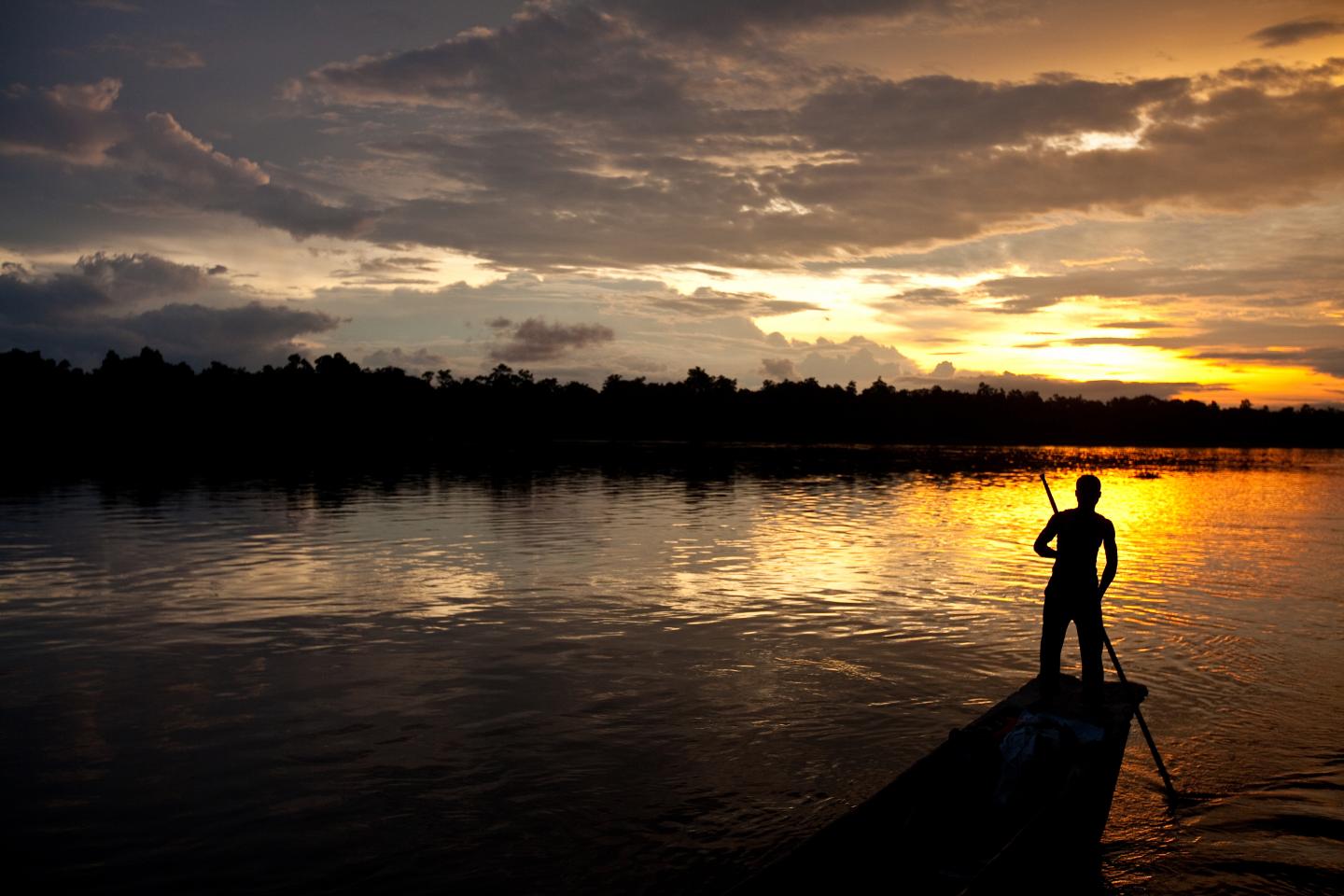 Do Rainforest Conservation Strategies Optimize Both Carbon Storage and Biodiversity? (2 of 12)