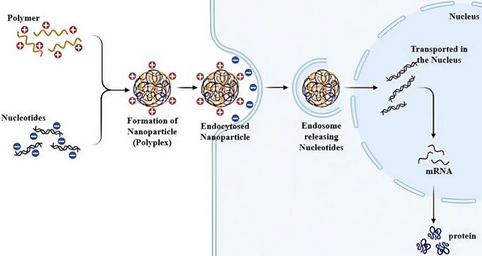 Macromolecular Gene Delivery Systems: Advancing Non-viral Therapeutics with Synthetic and Natural Polymers