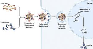 Macromolecular Gene Delivery Systems: Advancing Non-viral Therapeutics with Synthetic and Natural Polymers