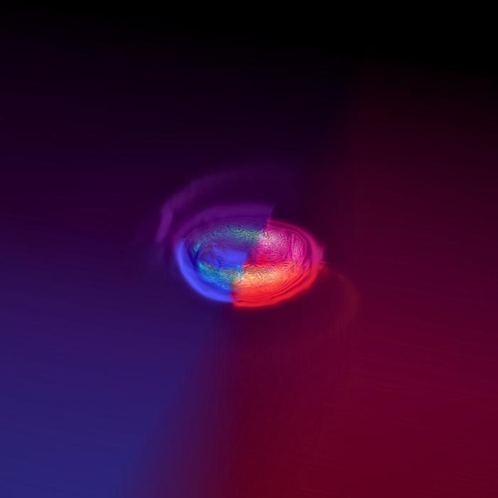 Neutron Star Merger Remnant