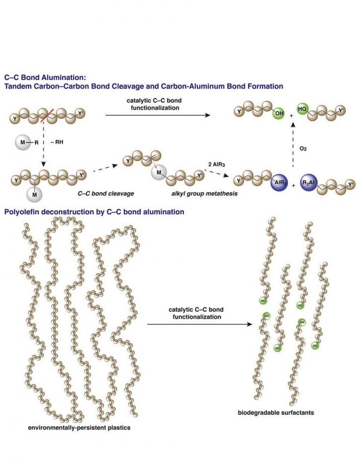 Polymers transform into biodegradable components