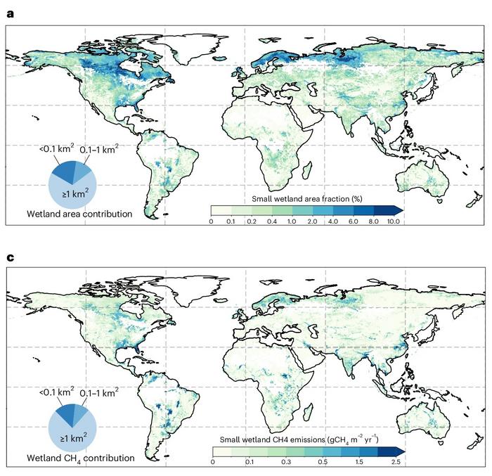 Small wetlands global maps