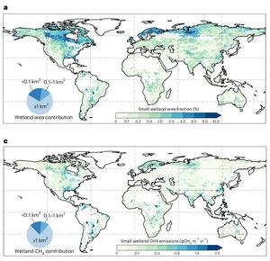 Small wetlands global maps