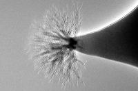 Electrospray Nanosatellite Thruster
