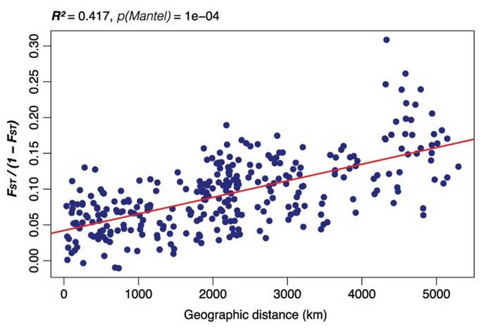 Isolation by distance (FST/(1 − FST) as a function of geographical distance in spontaneous F. carica sensu stricto (n = 26 sites).
