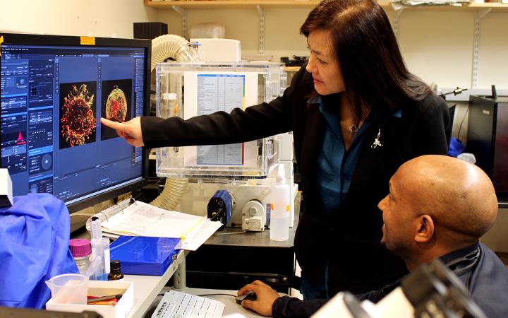 Alana Down Syndrome Center research