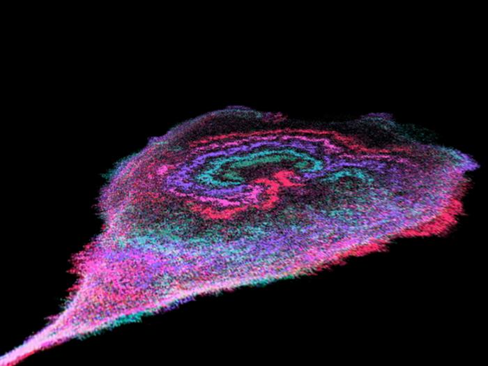 zhan cell waves