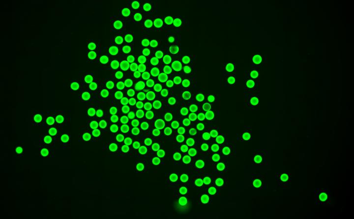 Engineered biomaterial microgels