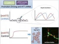 Negative Feedback Loop Mechanism