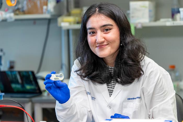 Rice bioengineers develop biochemical halo to cloak insulin-producing cells from body defenses
