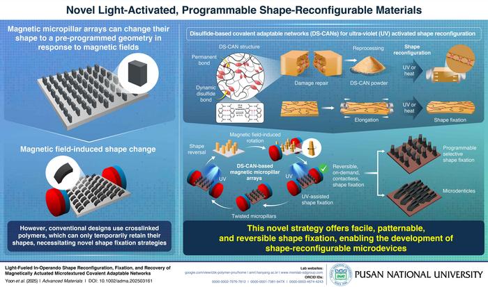 Proposed DS-CAN-based magnetic micropillar arrays