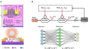 BP/MoS2-Based Electro-Optic Modulator and Time-Division Multiplexing Photonic Computing Architecture