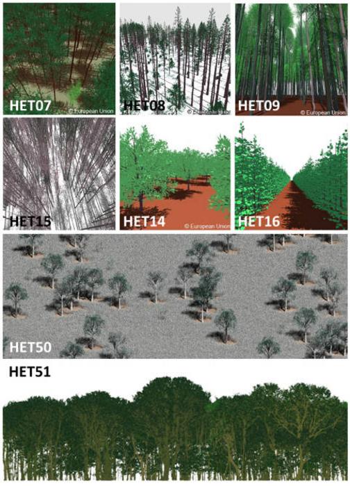 Rendering of the eight actual scenes issued with RAMI-V experiment.