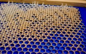 Busy bees can build the right hive from tricky foundations