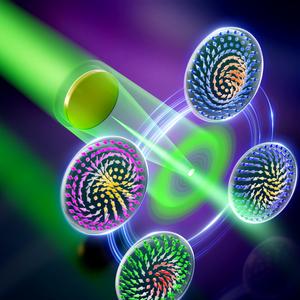 A Poisson spot contains four types of skyrmions in one light spot