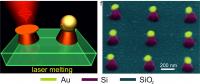 SEM Image of Fabricated Nanoantennas