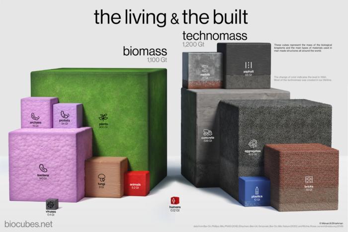 All the living and built things on Earth
