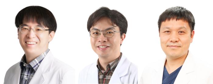 authors of the article