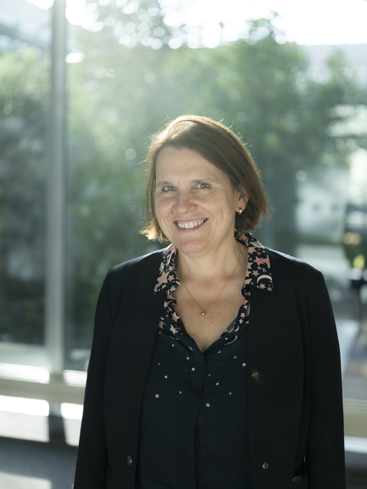 Max-Born-Preis für Claudia Felser