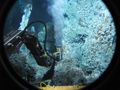 Alvin's Mechanical Arm Collecting Samples