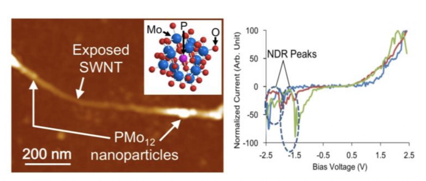 Fig.2: Atomic Force Microscope Image