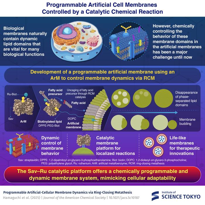 Programmable Artificial-Cell Membranes Controlled by a Catalytic Chemical Reaction