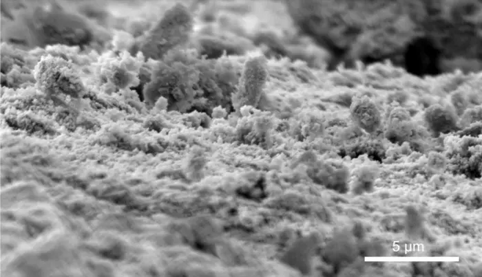 Electron microscope image of a lacquered surface degraded by TiO2 (author: Mati Kook).