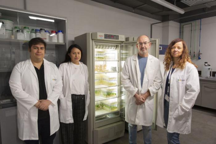 A biostimulant composition that protects crops from adverse conditions and improves harvest yields