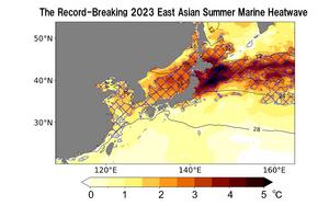 Sea Surface Temperature Anomaly in 2023 East Asian Summer