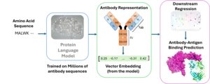 A-A Workflow