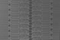 Animated Microparticles 1