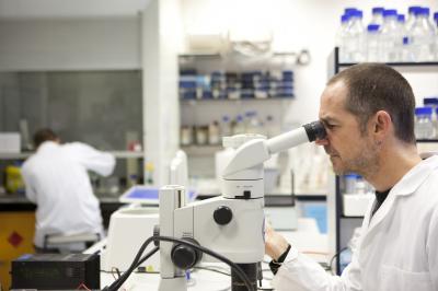 Dr. Paul Scotting, University of Nottingham